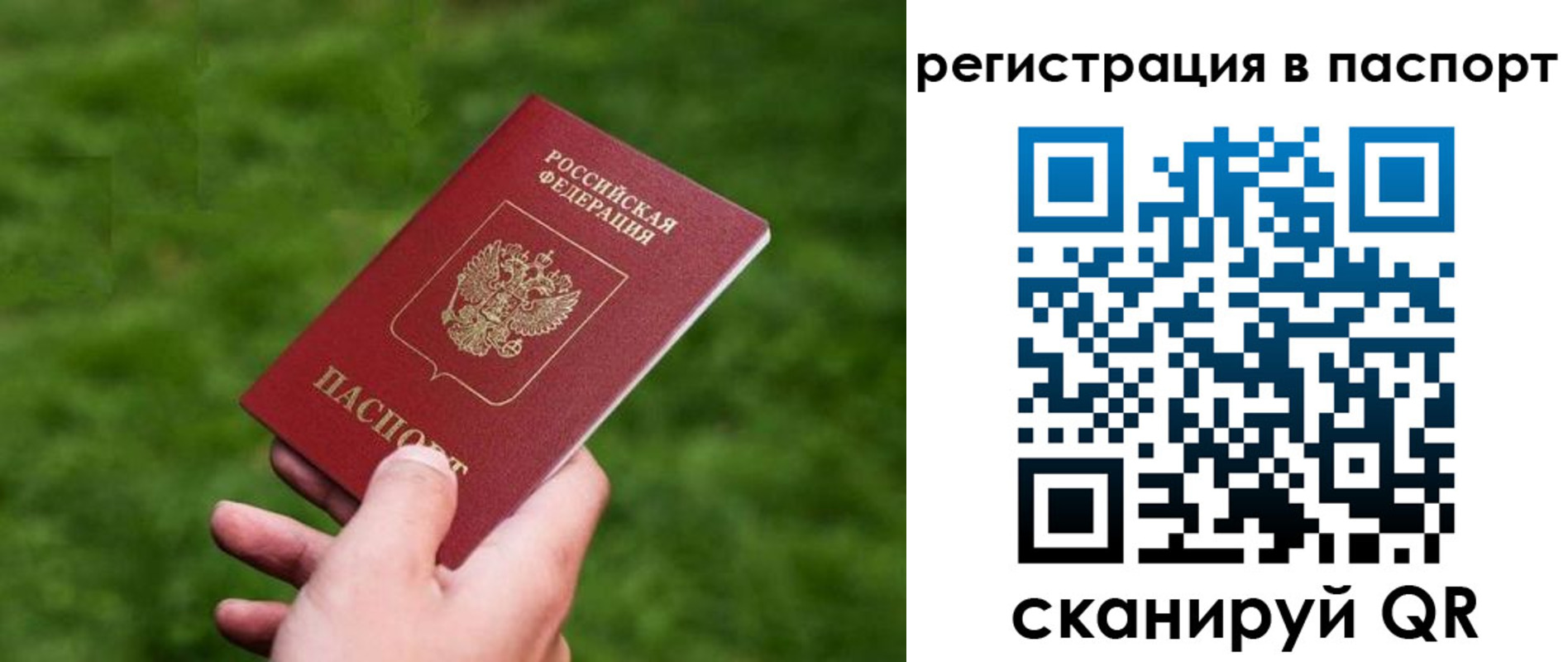 пропишу в квартире в Асино